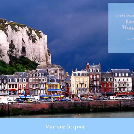 Les Mouettes 2 * Le Tréport